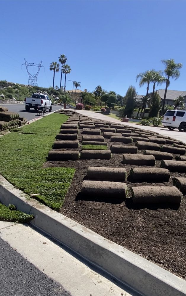 Tree trimming project by Juan's Gardening Service
